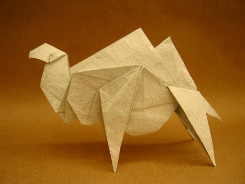 Camel