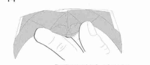 Bat