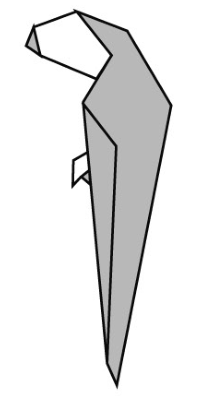 Toucan