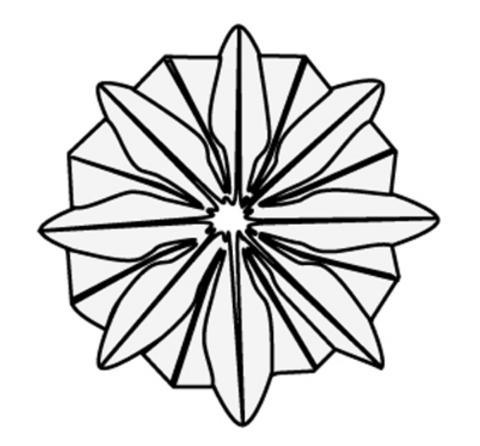 Dandelion