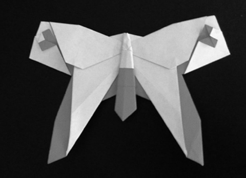 Butterfly heart