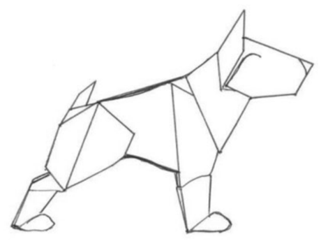 Bull terrier