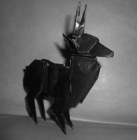Deer