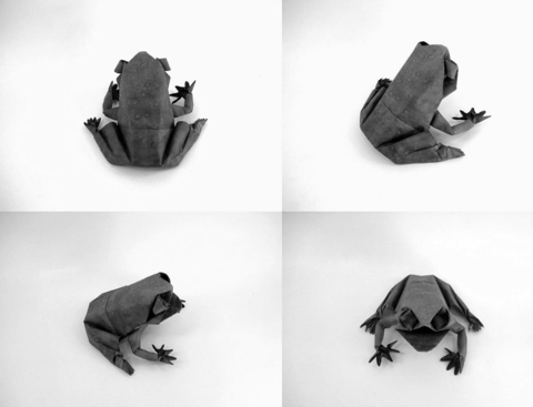 Frog of Zaragosa