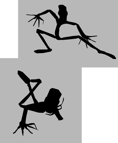 Person