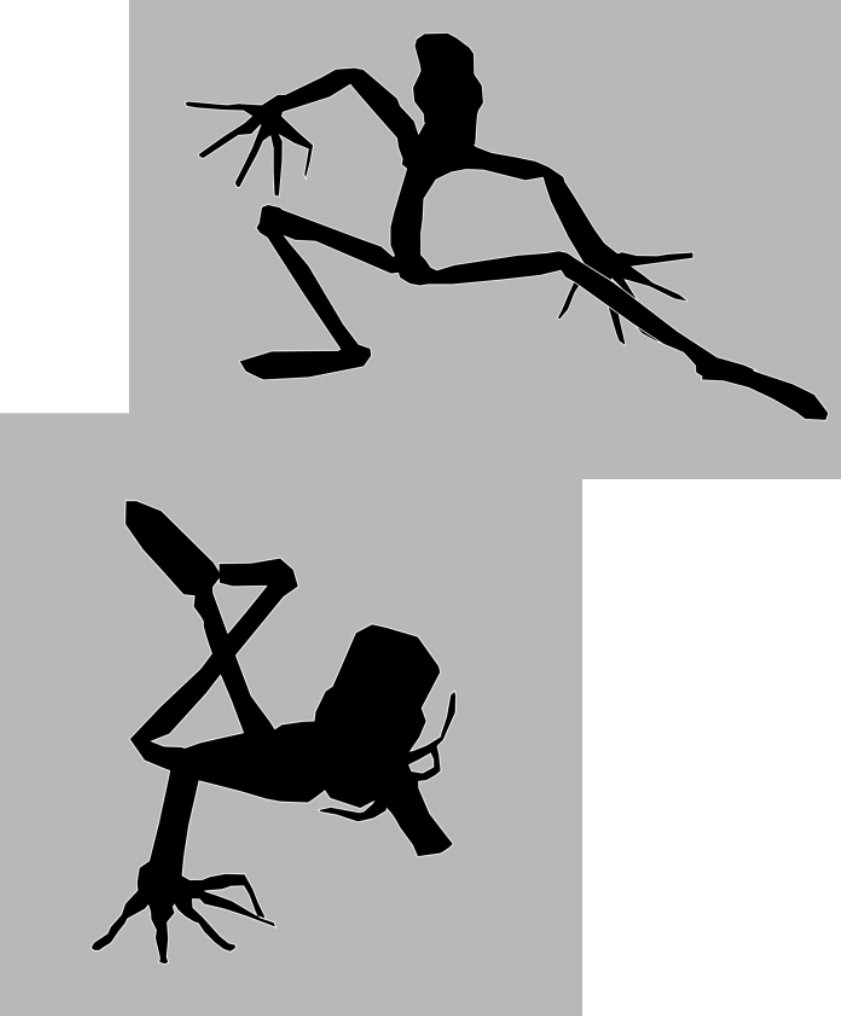 Person