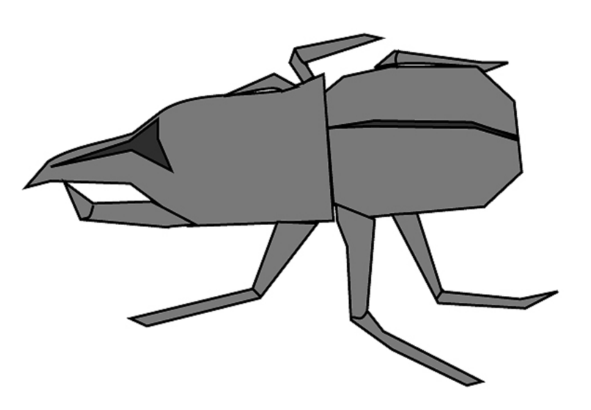 Scarab beetle
