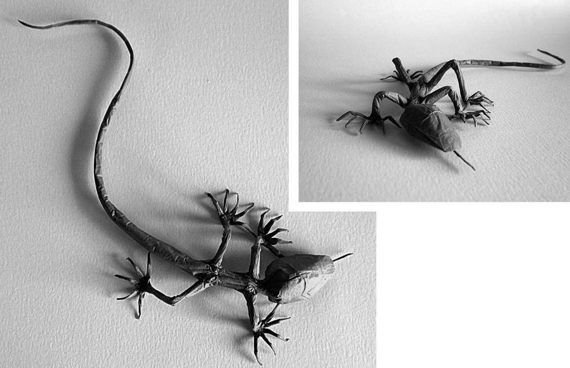 Lizard