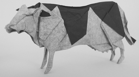 Cow