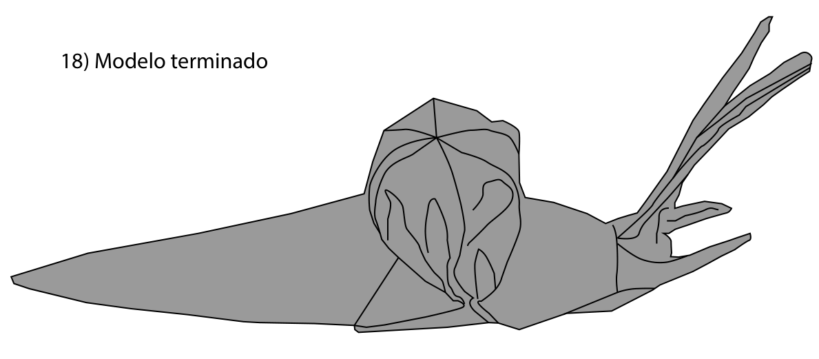Snail