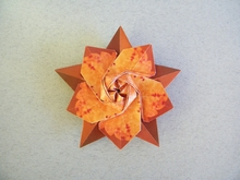 Sakura star - Spring edition