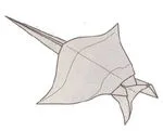 Manta ray