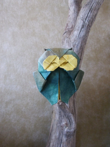 Horned owl