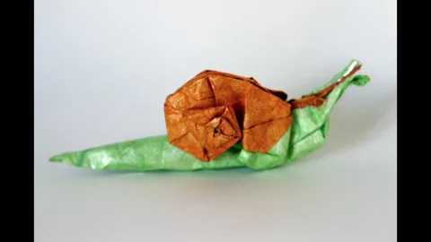 Snail