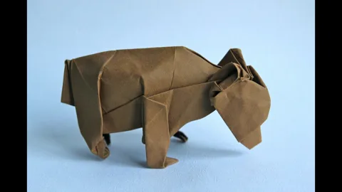 bear