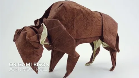 bison