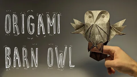 Barn Owl 2.0 (Riccardo Foschi)