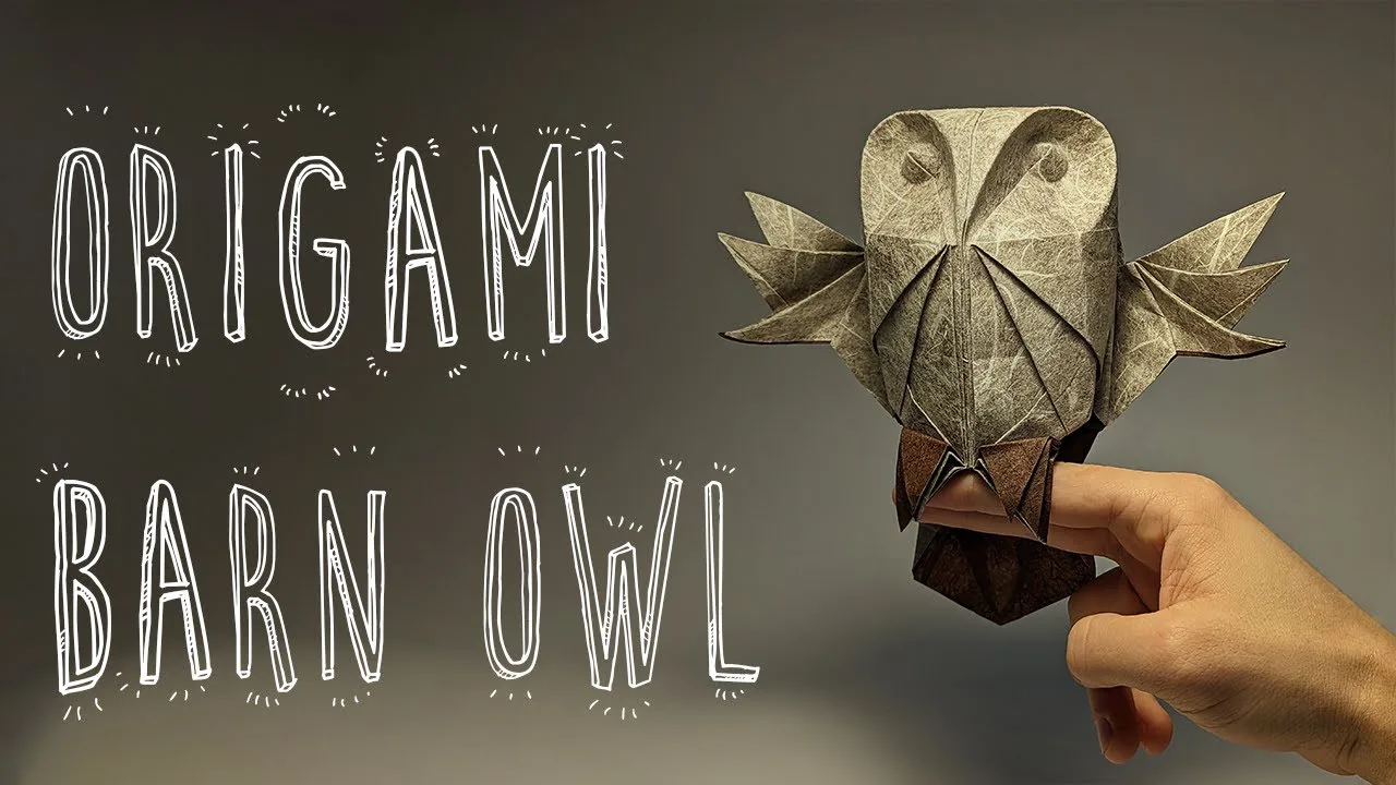 Barn Owl 2.0 (Riccardo Foschi)