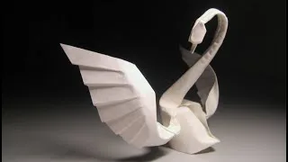 swan