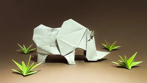 Rhino