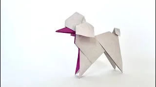 Poodle