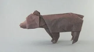 bear