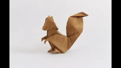 squirrel