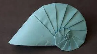 navel shell