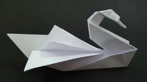 swan