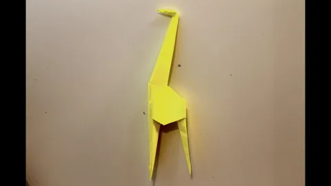 giraffe