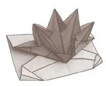 Peacock pop-up card
