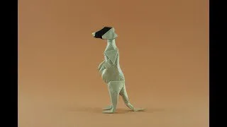 suricat