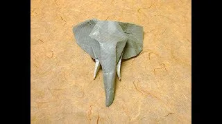 elephant head