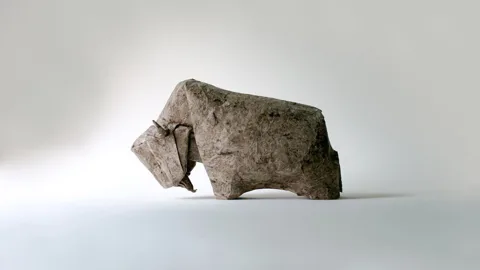 Bison