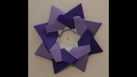 star 'Robin
