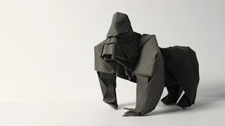 Gorilla