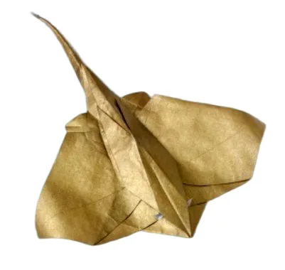 Ray