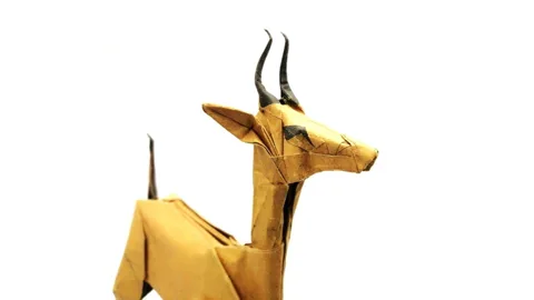 Clark's gazelle