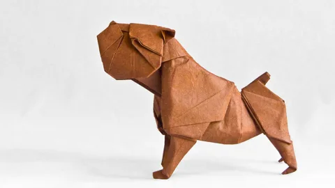 Bulldog