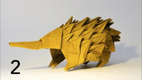 Echidna