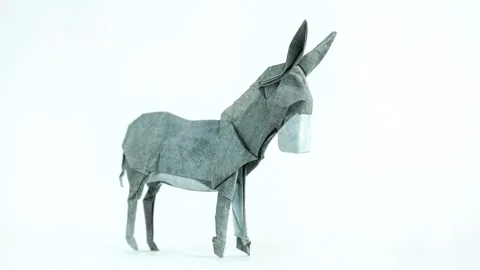 Donkey