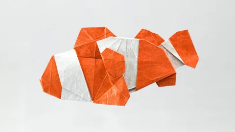 Clownfish