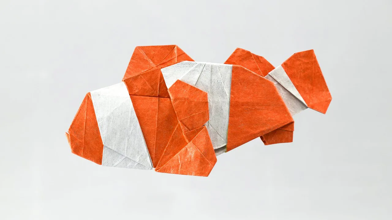Clownfish