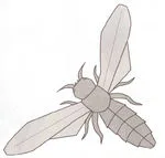 Escolia
