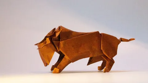 Bull