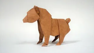 Bear Cub