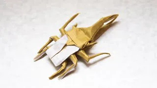 Hercules beetle