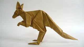 kangaroo