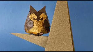 owl