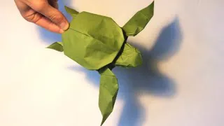 turtle